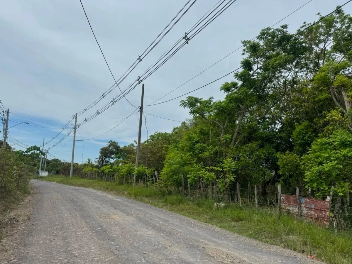 Land for Sale 9.9 Hectares in San Carlos