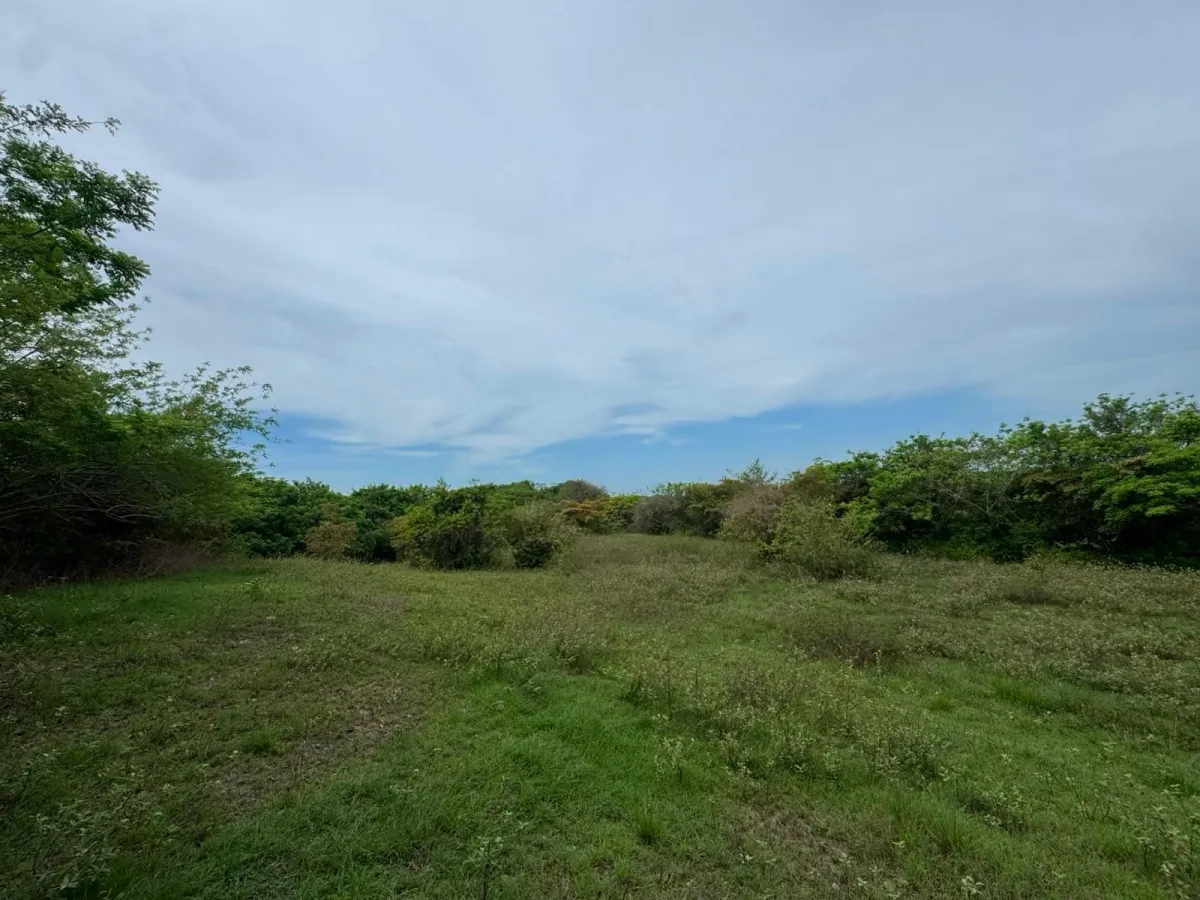 Land for Sale 9.9 Hectares in San Carlos