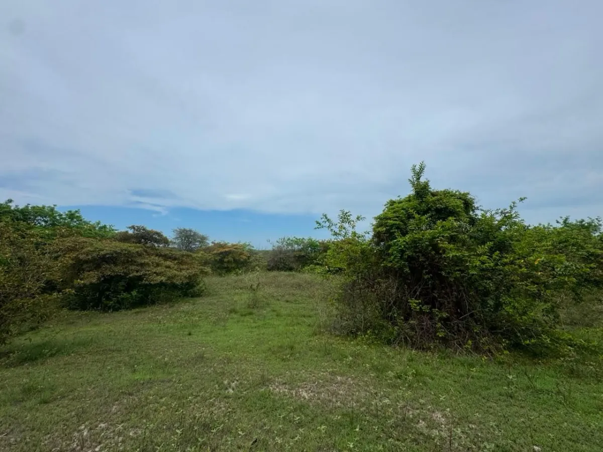 Land for Sale 9.9 Hectares in San Carlos