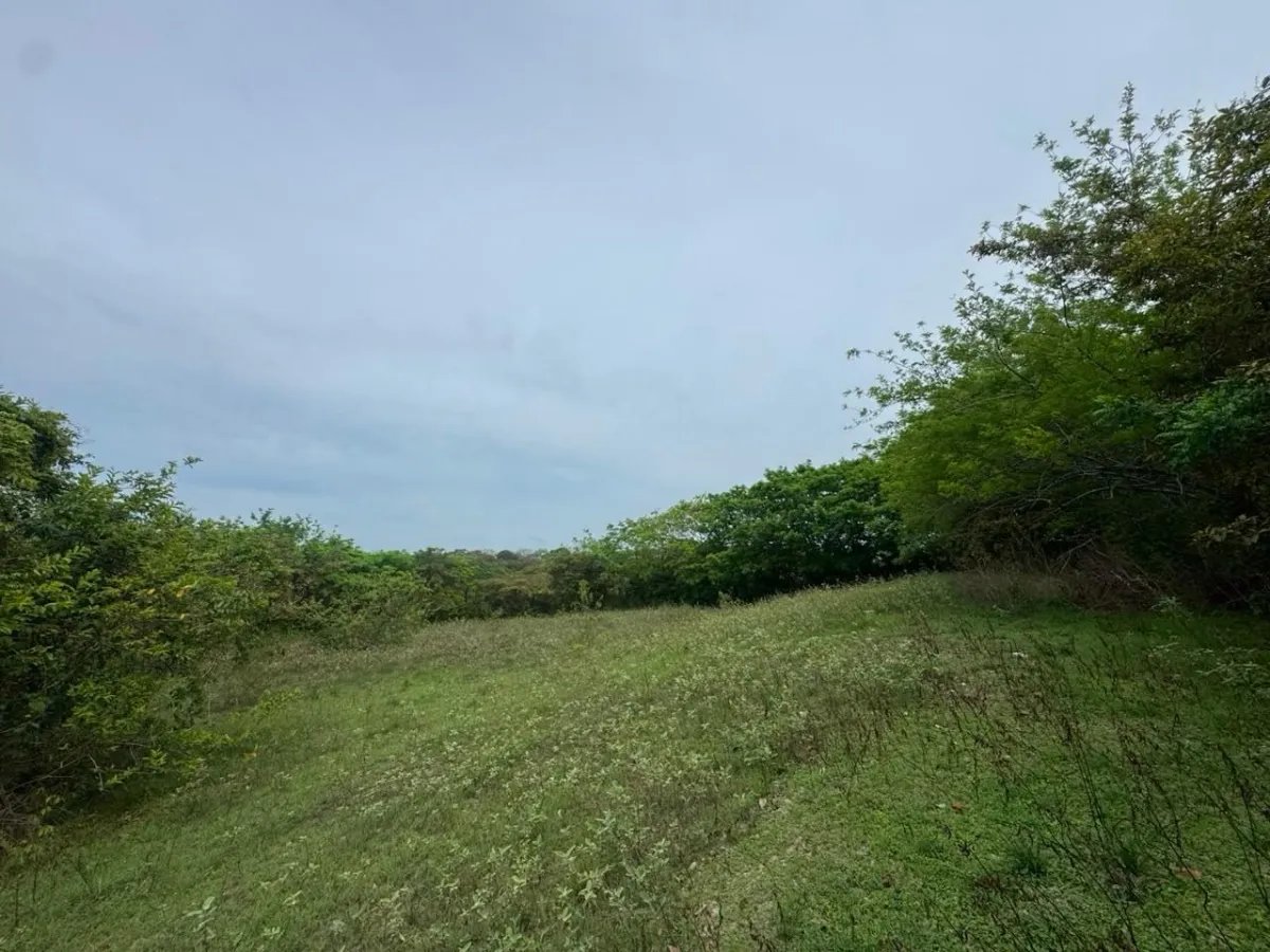 Land for Sale 9.9 Hectares in San Carlos