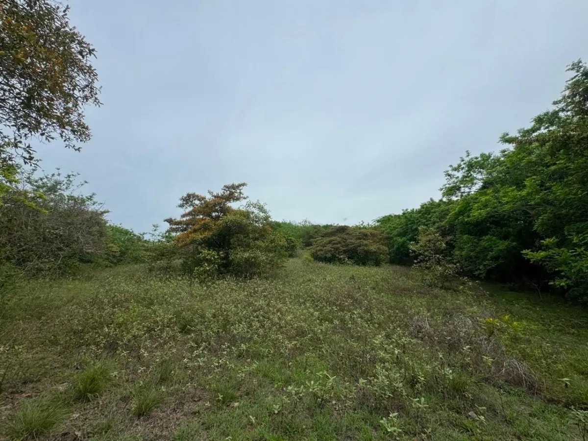 Land for Sale 9.9 Hectares in San Carlos