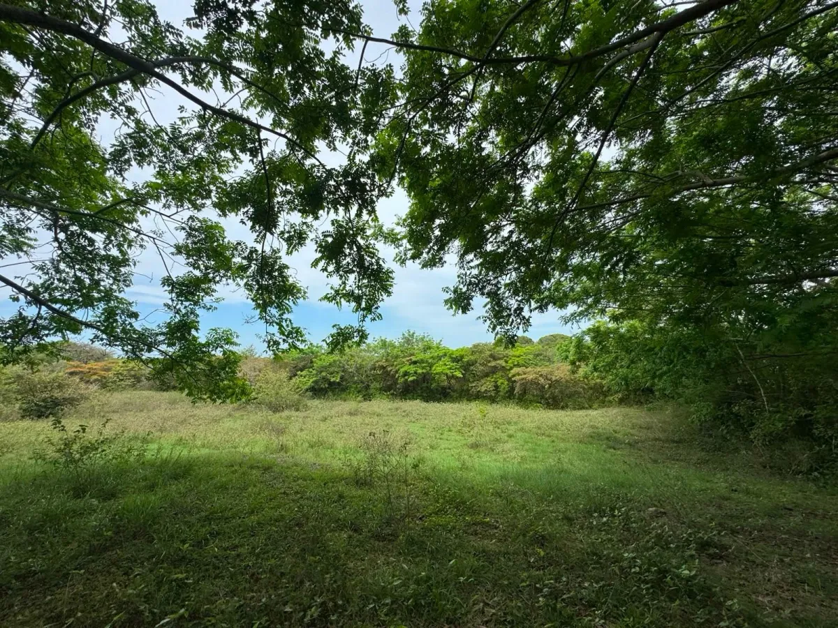 Land for Sale 9.9 Hectares in San Carlos