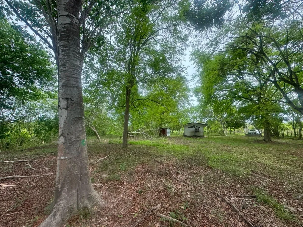 Land for Sale 9.9 Hectares in San Carlos