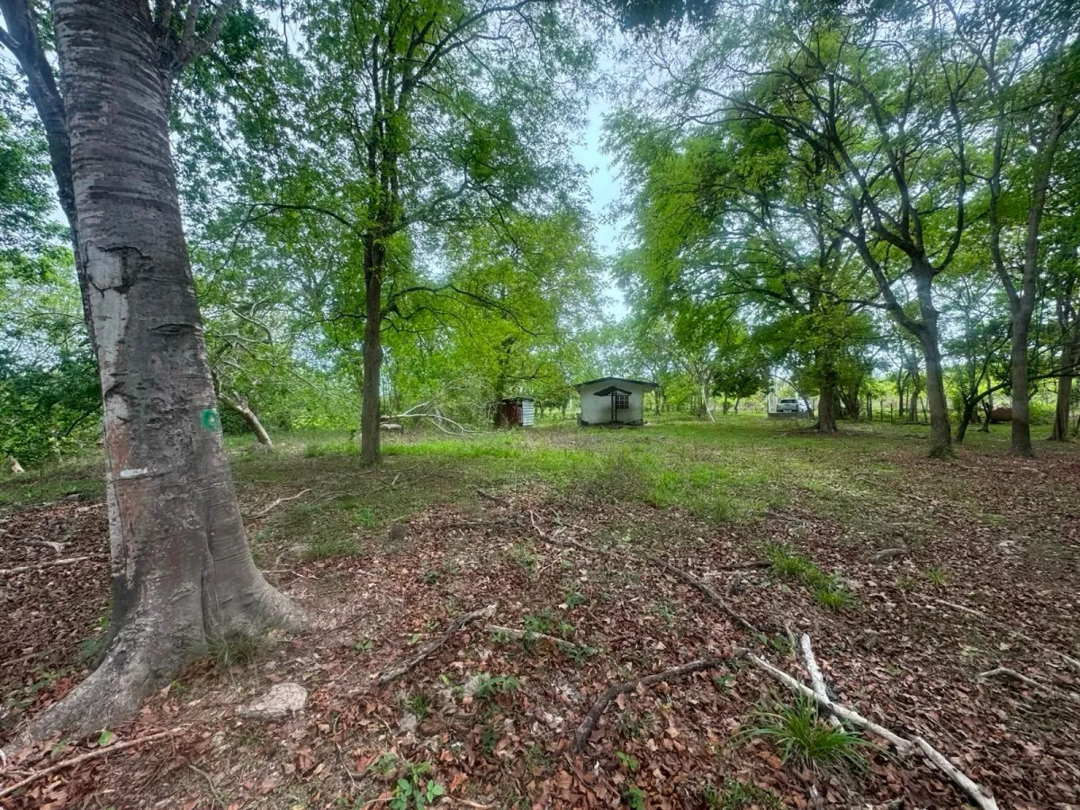 Land for Sale 9.9 Hectares in San Carlos