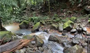 VENDO TERRENO EN CERRO AZUL 55 HECTAREAS