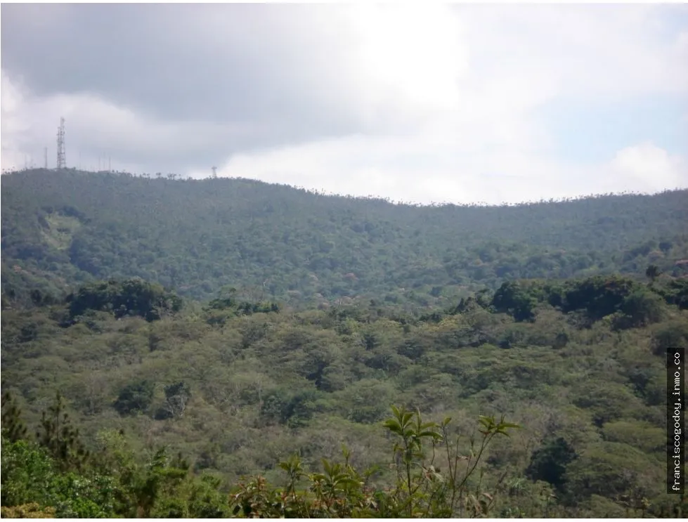 VENDO TERRENO EN CERRO AZUL 55 HECTAREAS