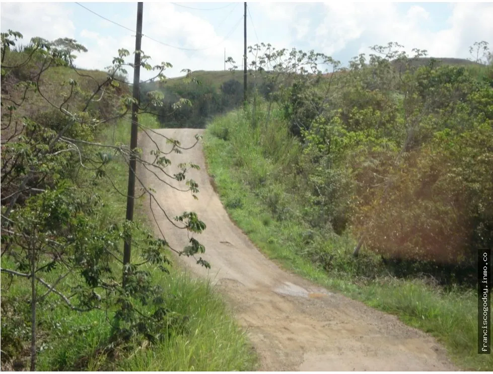VENDO TERRENO EN CERRO AZUL 55 HECTAREAS