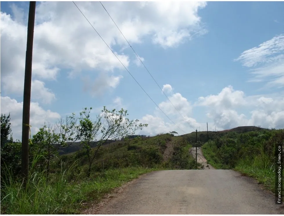 VENDO TERRENO EN CERRO AZUL 55 HECTAREAS
