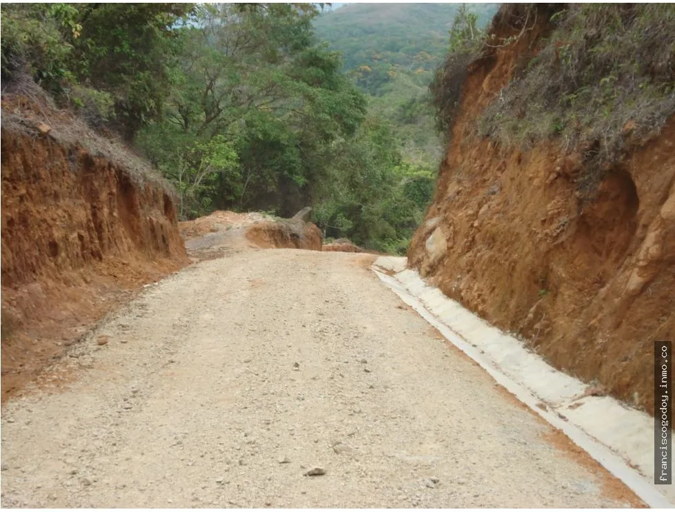LAND FOR SALE IN CERRO AZUL - 55 HECTARES