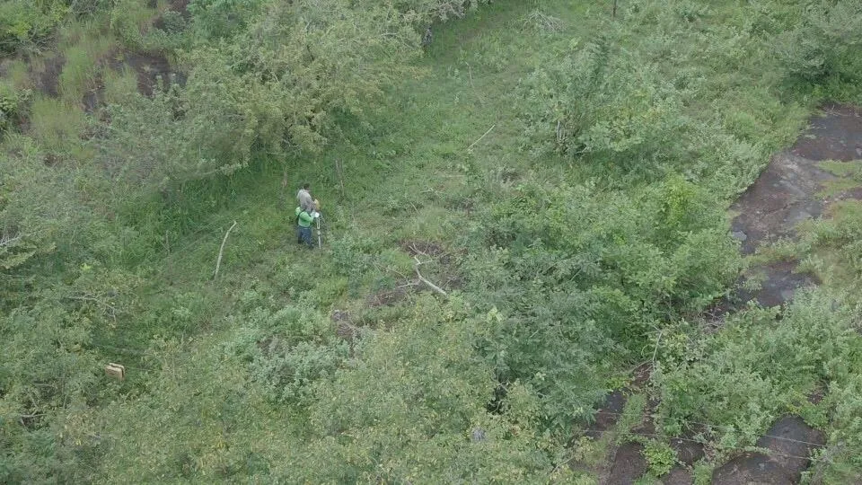 Terreno 5.4 HA en Coloncito de Nueva Gorgona.