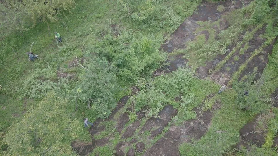 Terreno 5.4 HA en Coloncito de Nueva Gorgona.