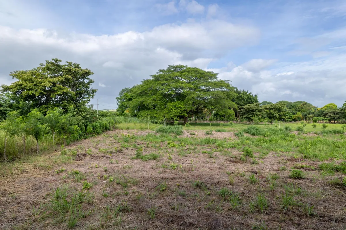 Lot For Sale with Easy Access in Bejuco Chame Pana