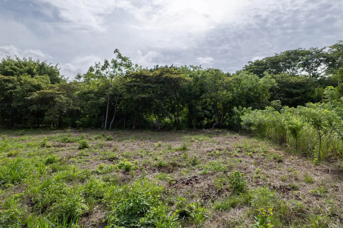 Lot For Sale with Easy Access in Bejuco Chame Pana