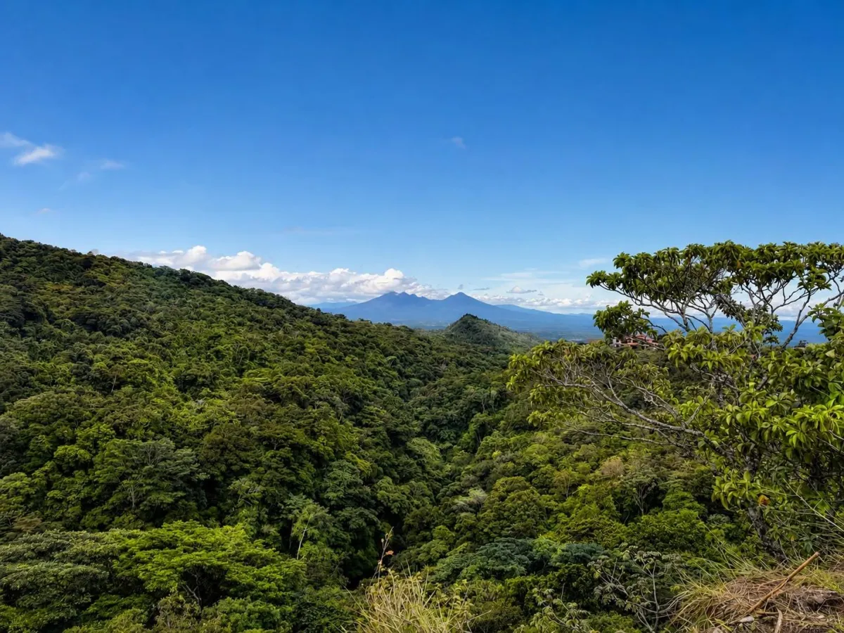 Lote con Vistas al Cañón y al Volcán Barú en Boquete Panamá