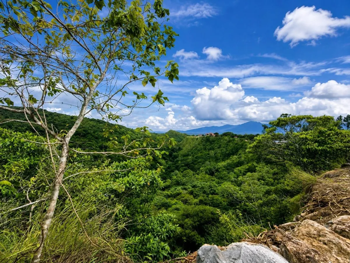 Lote con Vistas al Cañón y al Volcán Barú en Boquete Panamá