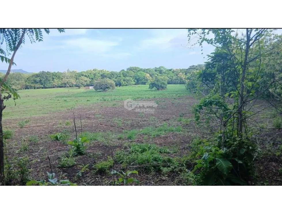 CHAME / BEJUCO / 4.5 HECTAREAS / TERRENO AMPLIO / ZONAS VERDES