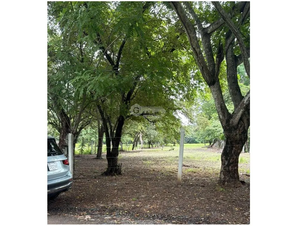 CHAME / BEJUCO / 4.5 HECTAREAS / TERRENO AMPLIO / ZONAS VERDES