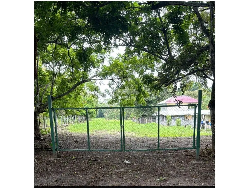 CHAME / BEJUCO / 4.5 HECTAREAS / TERRENO AMPLIO / ZONAS VERDES
