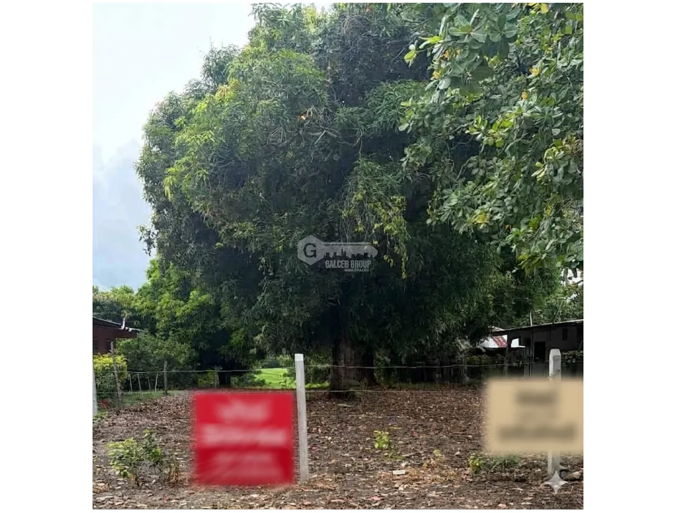 CHAME / BEJUCO / 4.5 HECTAREAS / TERRENO AMPLIO / ZONAS VERDES