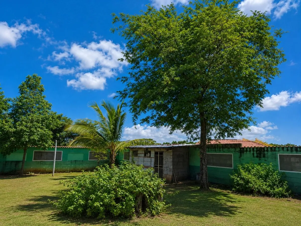Affordable house on 1,940 m² of land - A Green Par