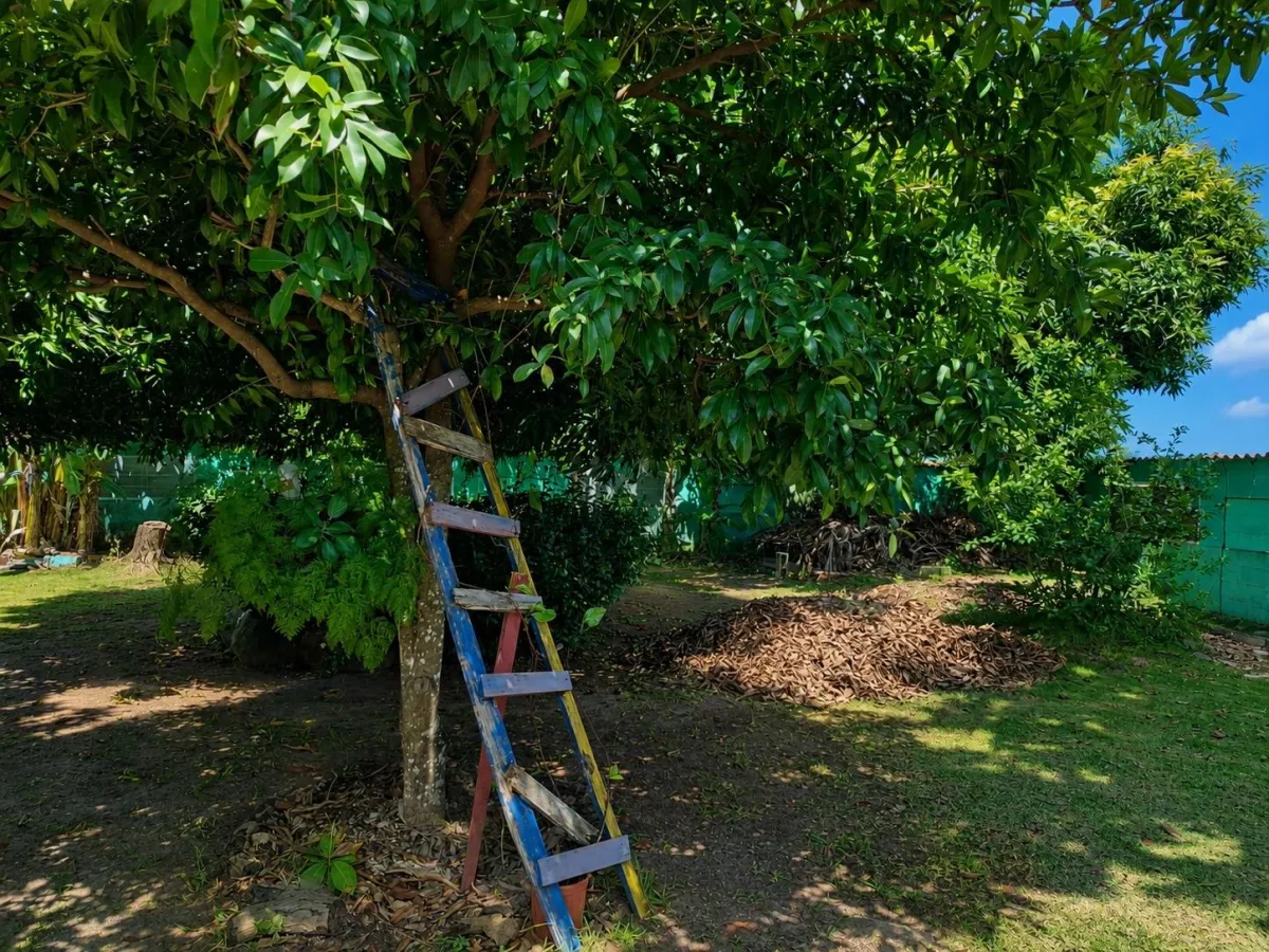 Affordable house on 1,940 m² of land - A Green Par