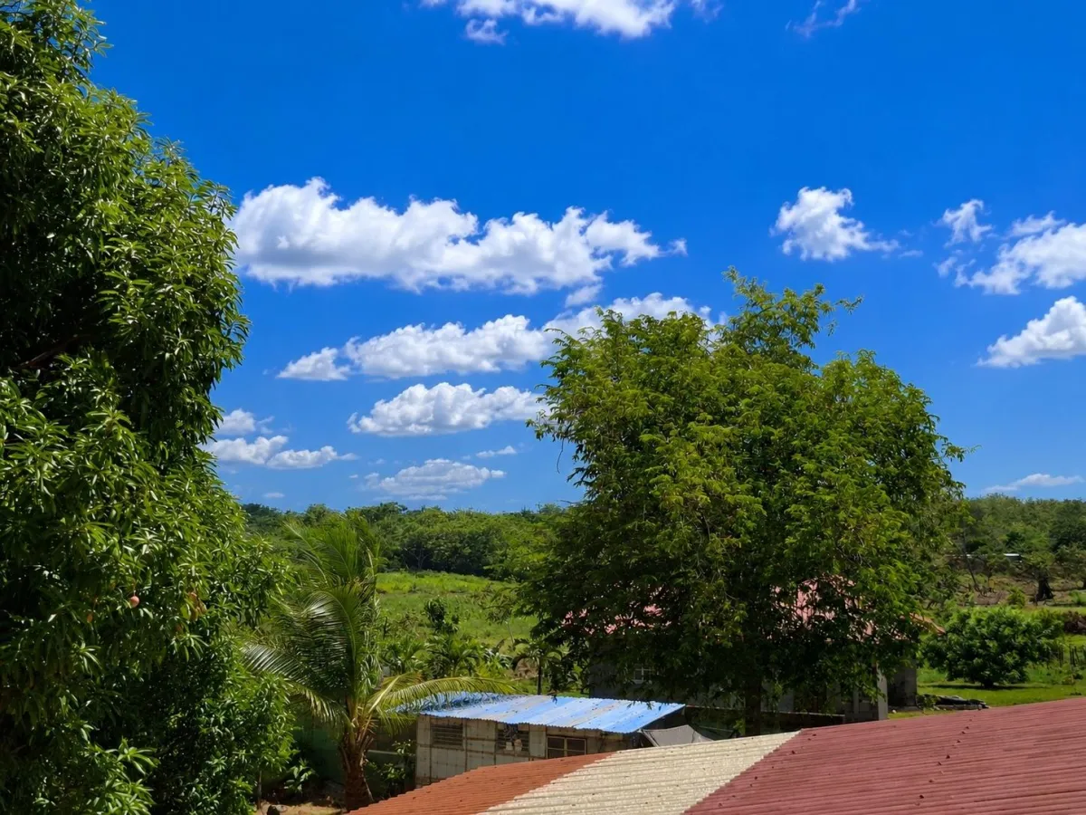 Affordable house on 1,940 m² of land - A Green Par