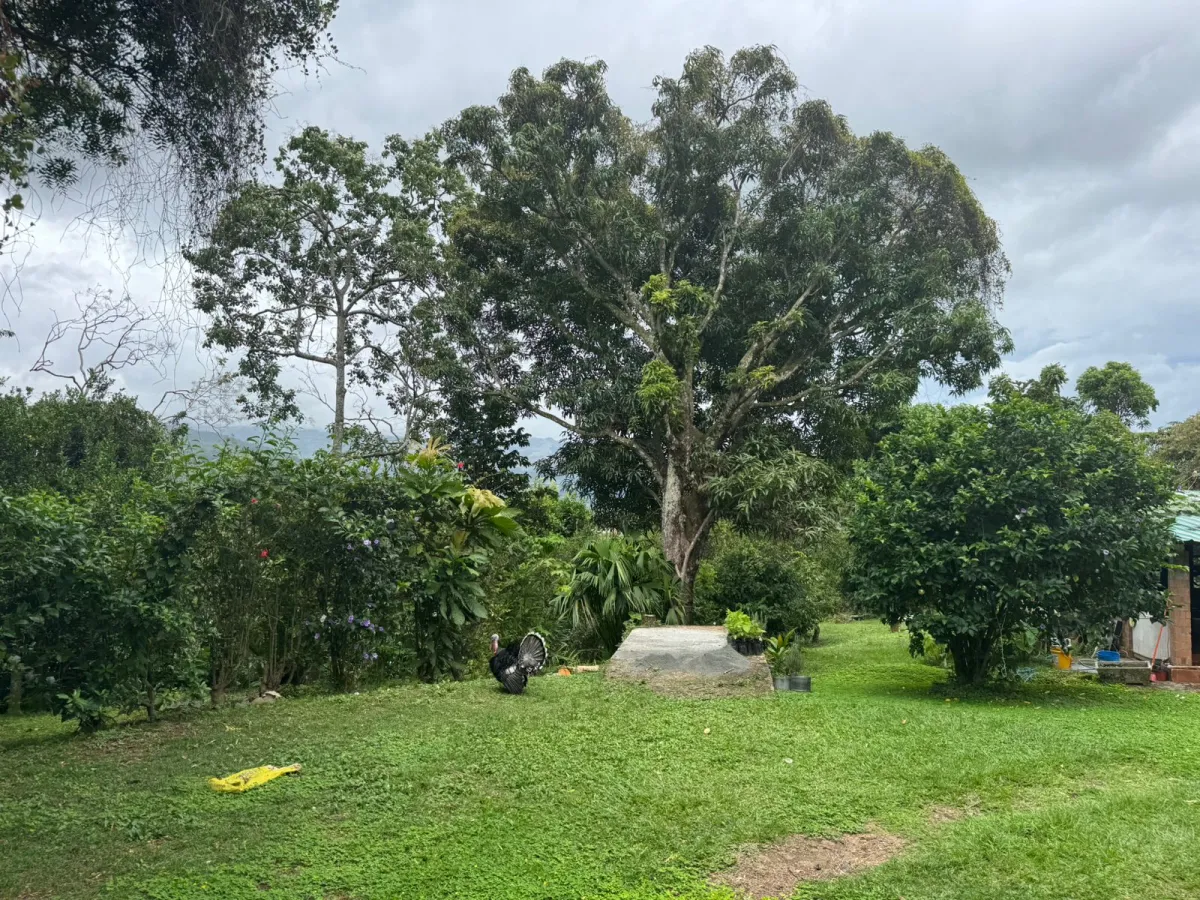 Casa en Venta en el Centro de Santa Fe, Veraguas – 1,899.55 m²