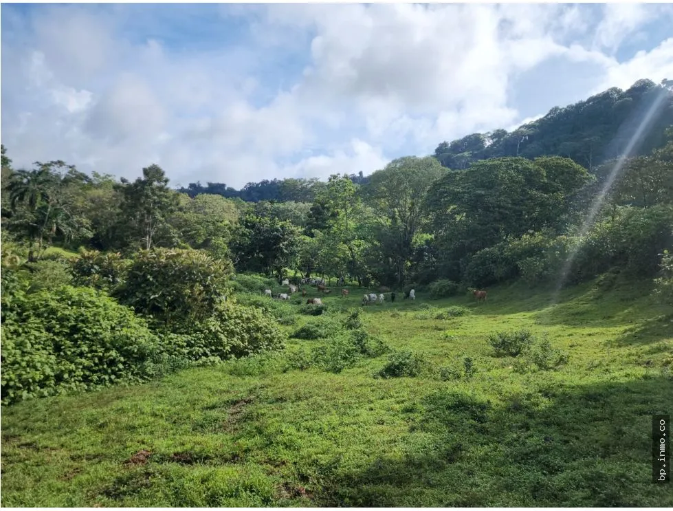 Building Lot for sale in Colon