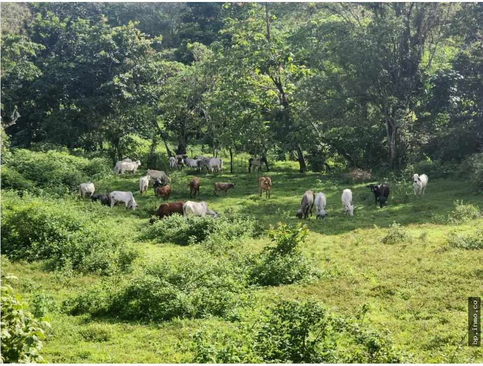 Building Lot for sale in Colon