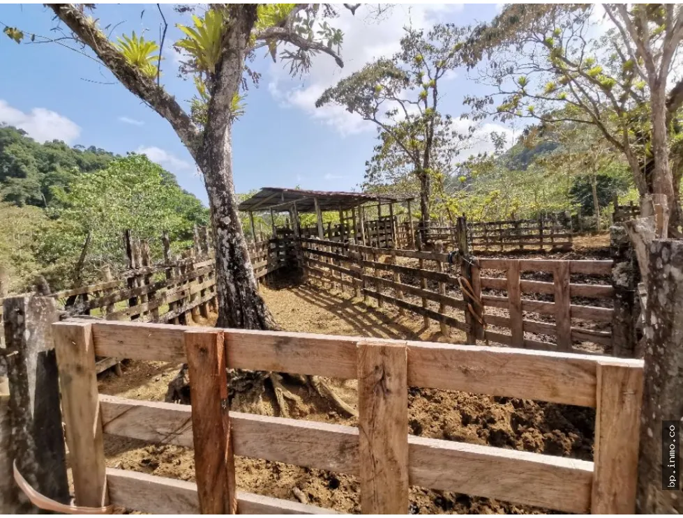 Building Lot for sale in Colon