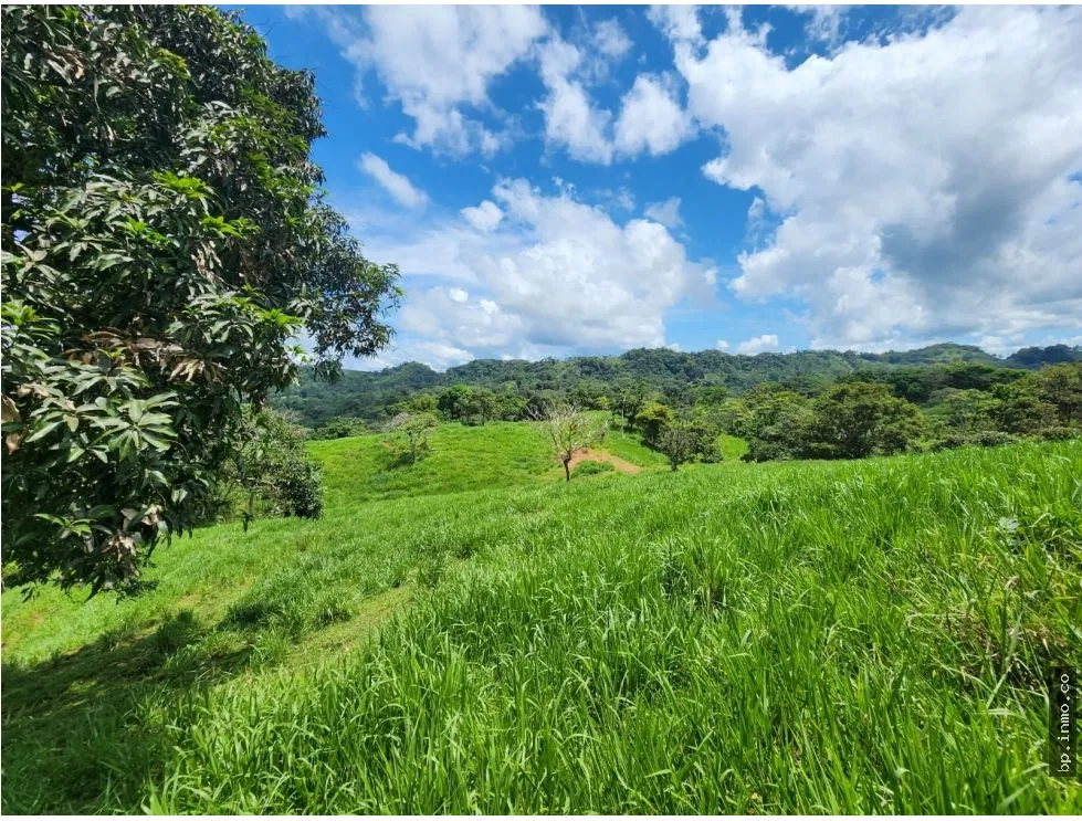 Building Lot for sale in Colon