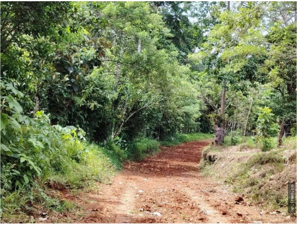 Building Lot for sale in Colon