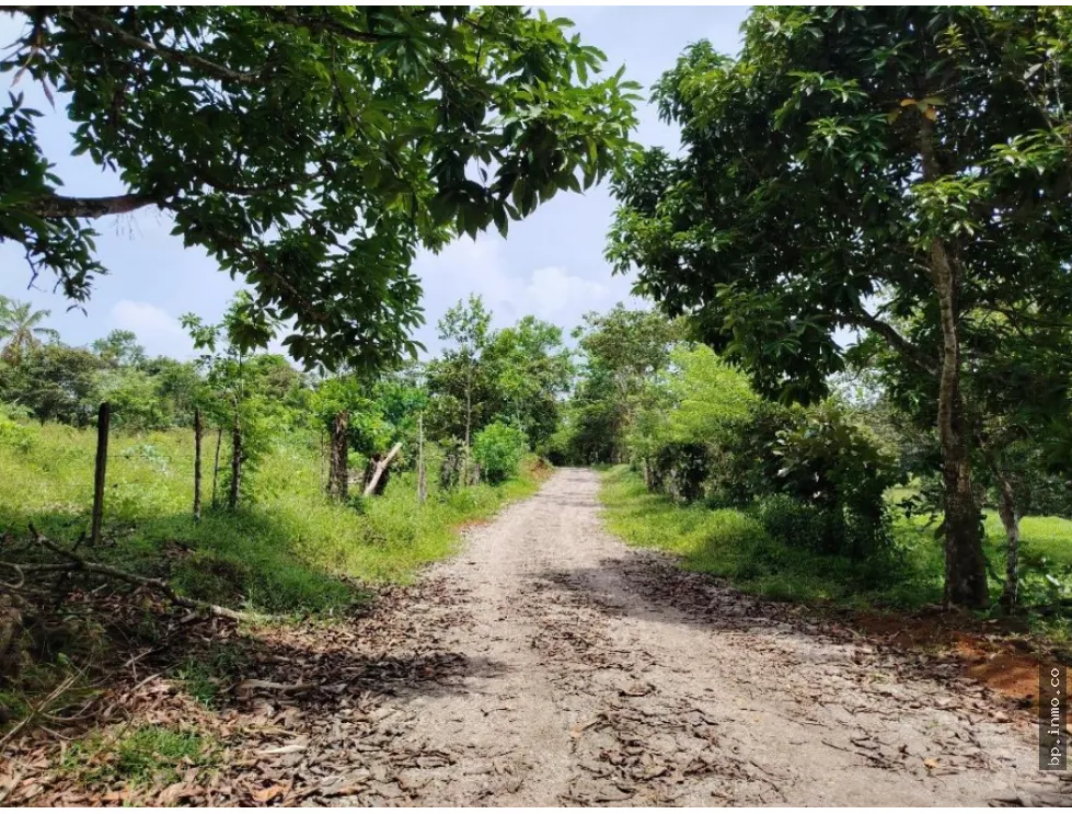 Building Lot for sale in Colon
