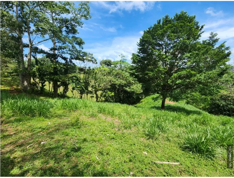 Building Lot for sale in Colon