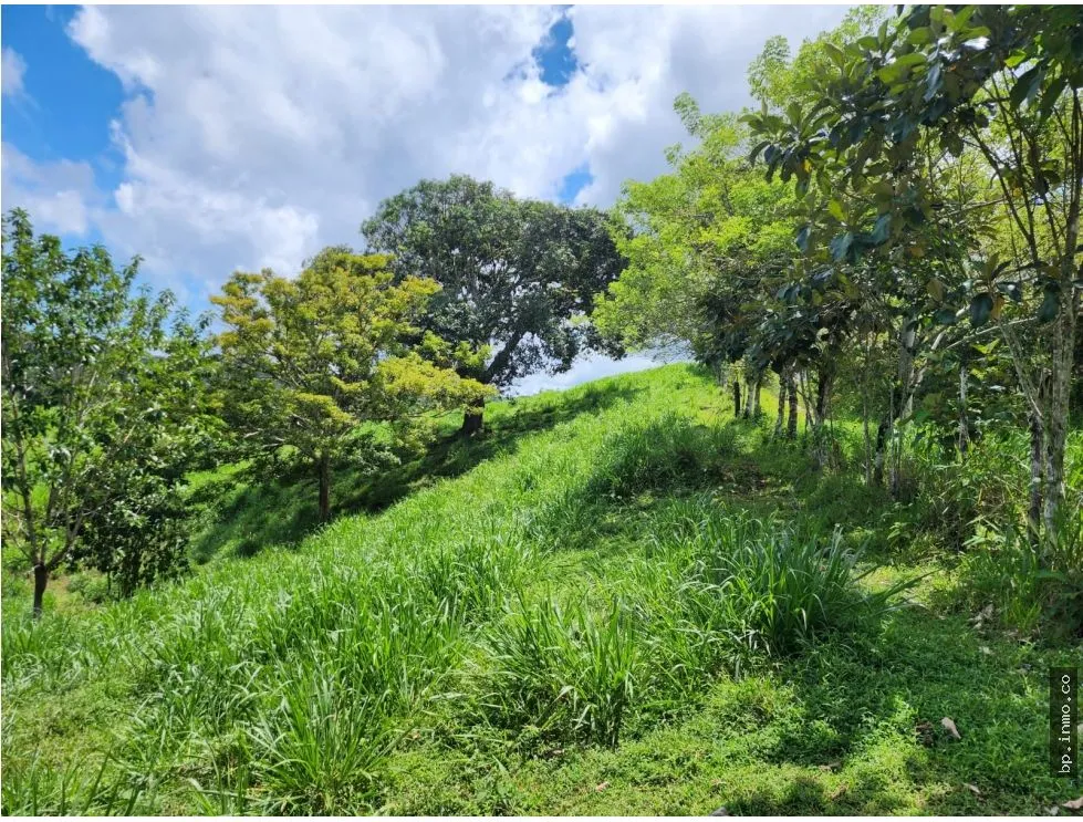 Building Lot for sale in Colon