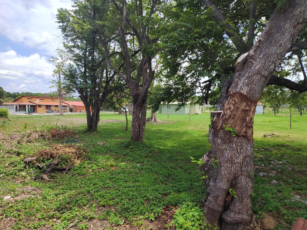 Land at an excellent price in a gated community.
