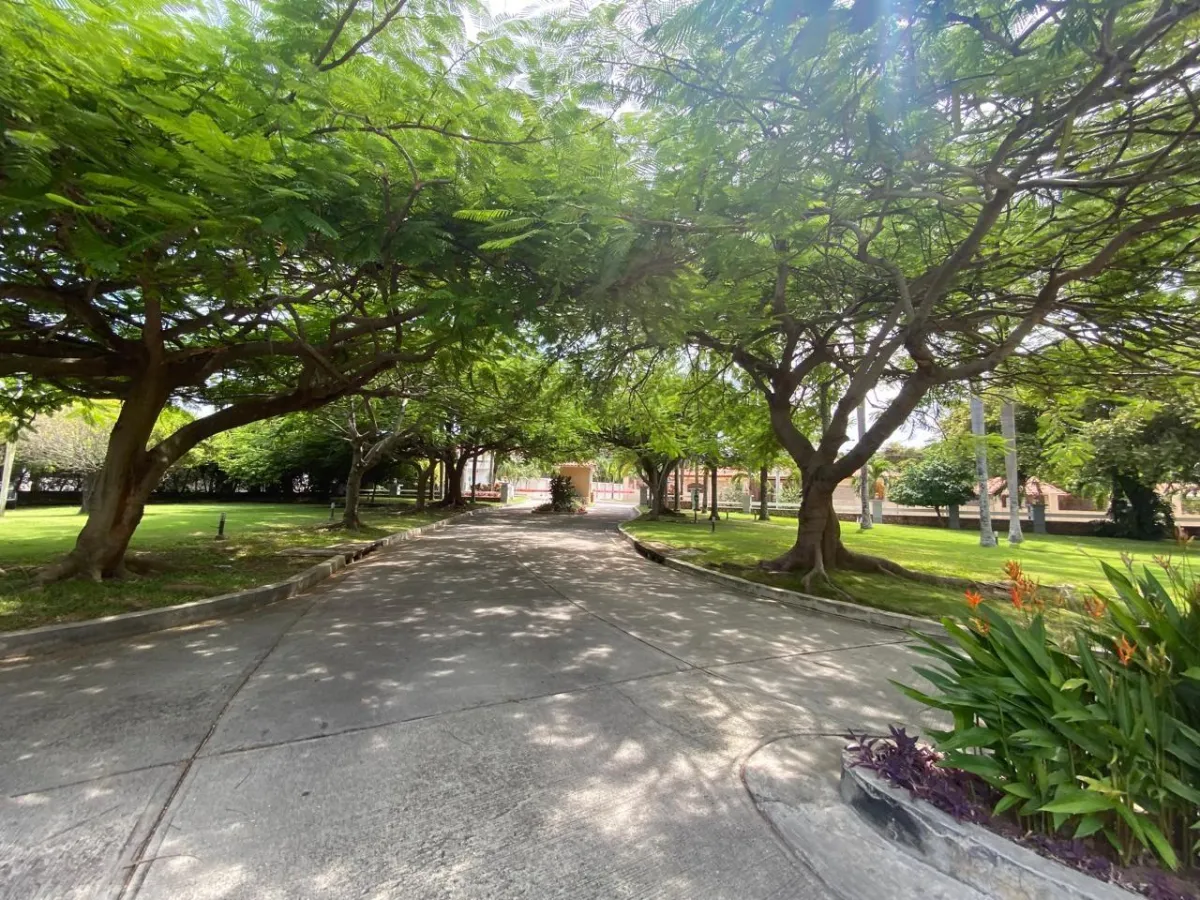 4 bedroom apartment in PH El Alcazar, Coronado