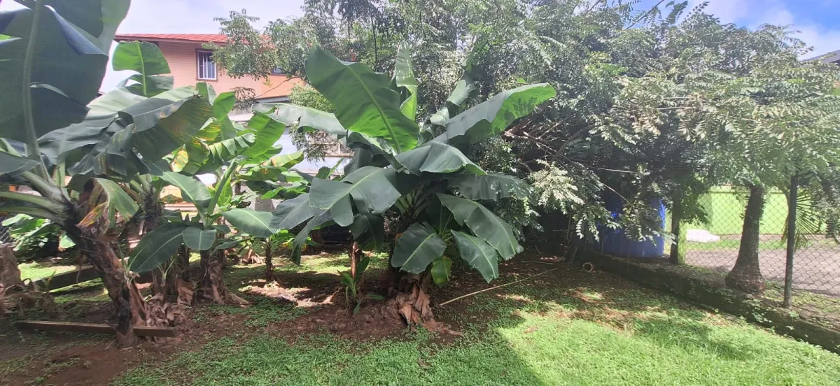House for Sale in Nuevo Cristóbal, Colón, Panama