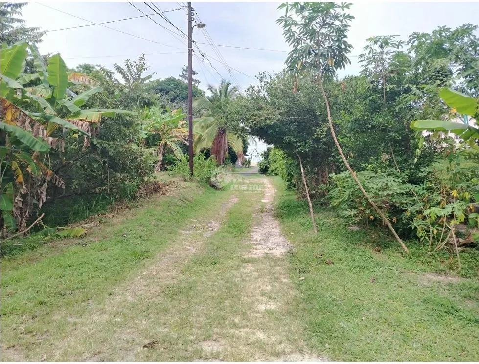 HOUSE FOR SALE IN SAN CARLOS 724 M2 FENCED MINUTES FROM BEACHES