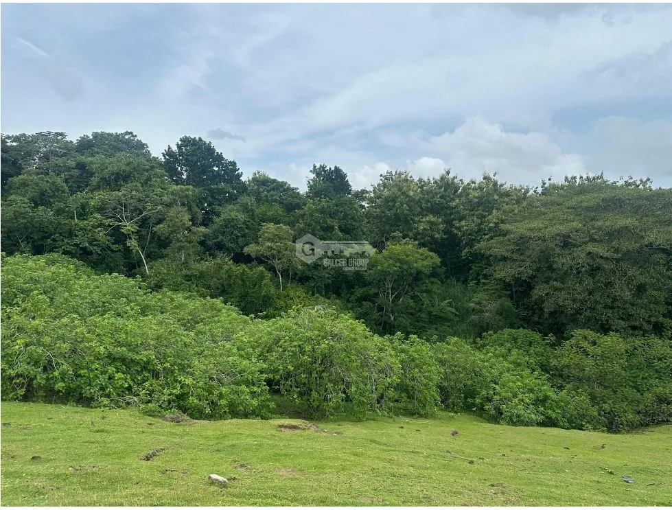 LAND FOR SALE LAS CUMBRES 7603M INVESTMENT SPACIOUS WITH GREEN AREAS