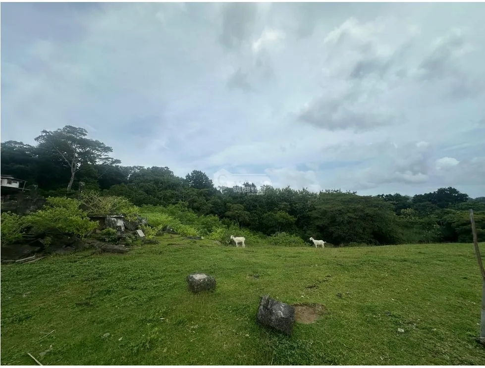 LAND FOR SALE LAS CUMBRES 7603M INVESTMENT SPACIOUS WITH GREEN AREAS
