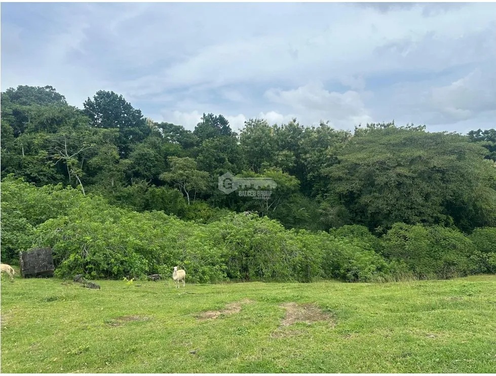 LAND FOR SALE LAS CUMBRES 7603M INVESTMENT SPACIOUS WITH GREEN AREAS