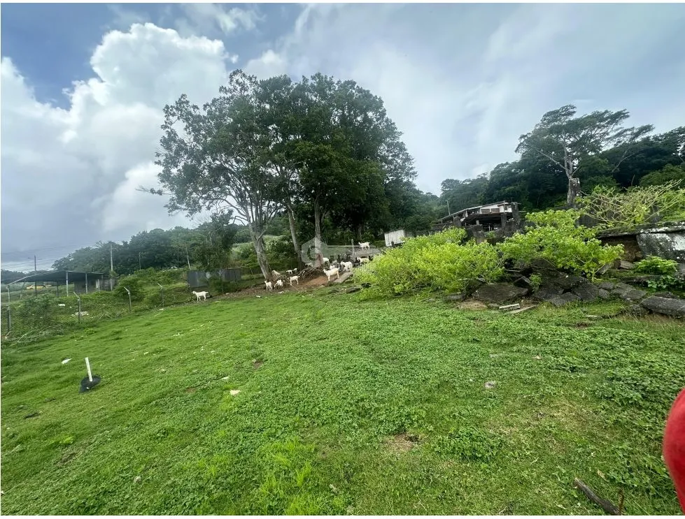 LAND FOR SALE LAS CUMBRES 7603M INVESTMENT SPACIOUS WITH GREEN AREAS