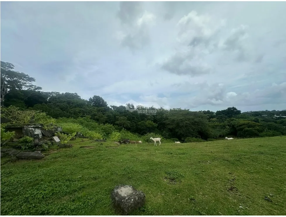 LAND FOR SALE LAS CUMBRES 7603M INVESTMENT SPACIOUS WITH GREEN AREAS