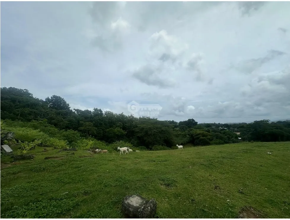 LAND FOR SALE LAS CUMBRES 7603M INVESTMENT SPACIOUS WITH GREEN AREAS