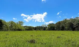 3H+ Riverfront Farm for Sale in Guacá, David