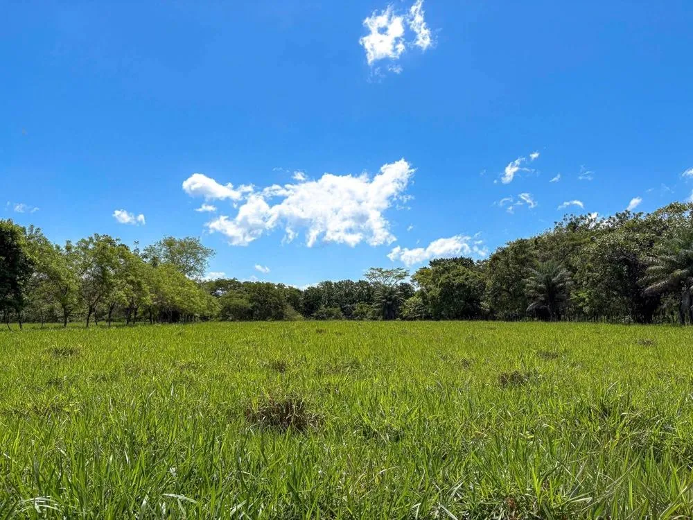 3H+ Riverfront Farm for Sale in Guacá, David