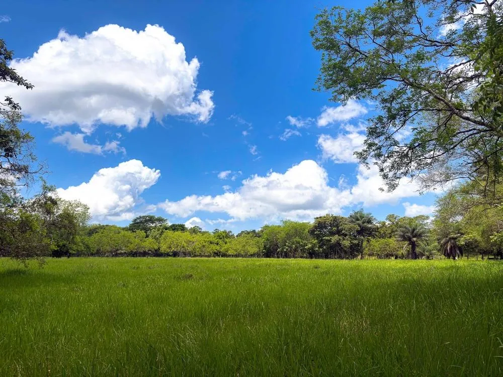 3H+ Riverfront Farm for Sale in Guacá, David