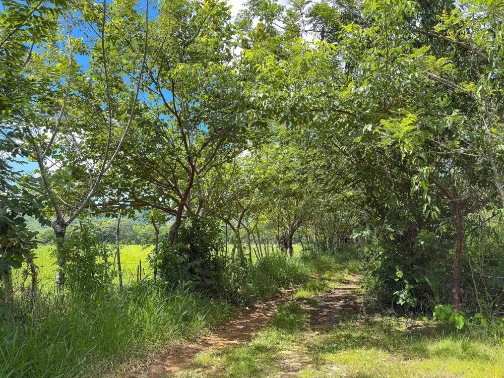 3H+ Riverfront Farm for Sale in Guacá, David