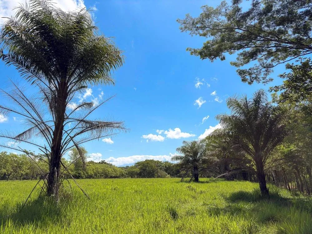 3H+ Riverfront Farm for Sale in Guacá, David